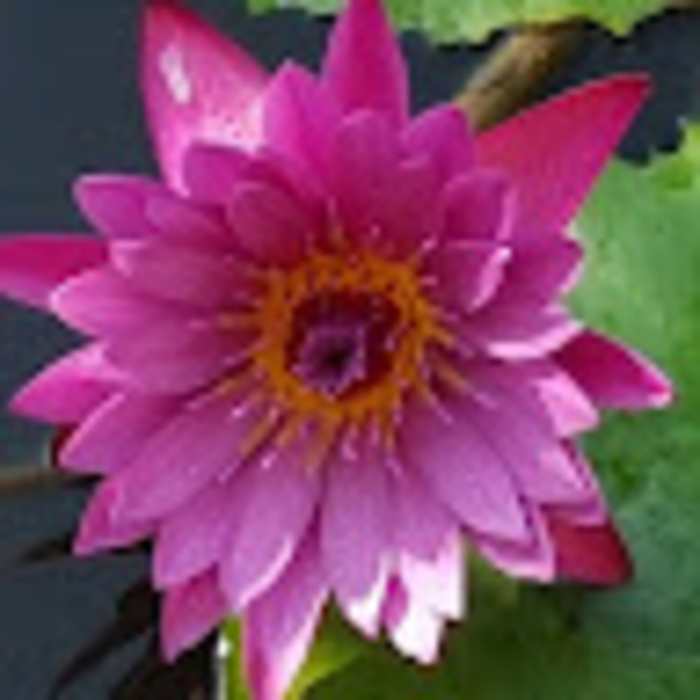 Meet your Posher, Sandi